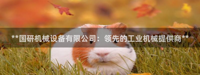 九游会官网多少
