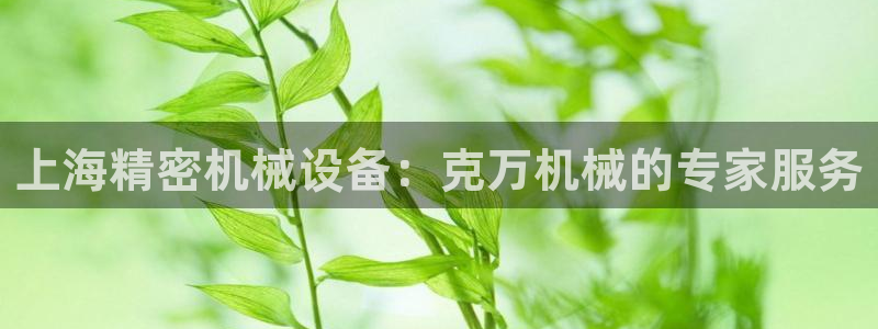 j9九游会会员日