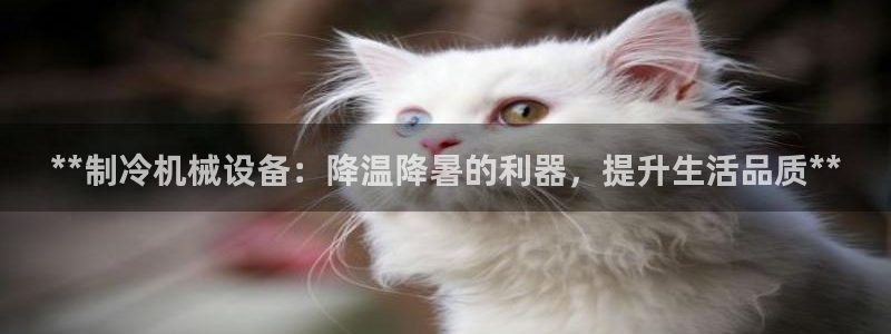 九游j9登陆