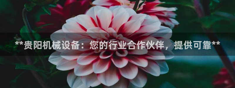 九游会在线官方网站