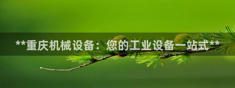 ag九游会登录网站