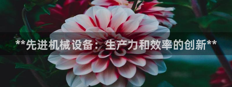 九游会ag老哥