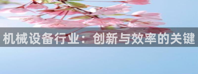 ag改九游会