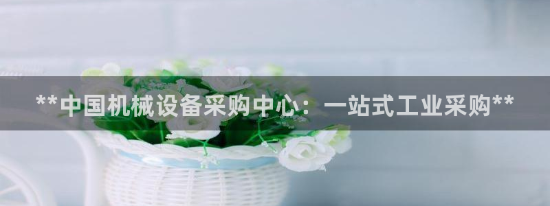 j9九游会游戏中国官方网站