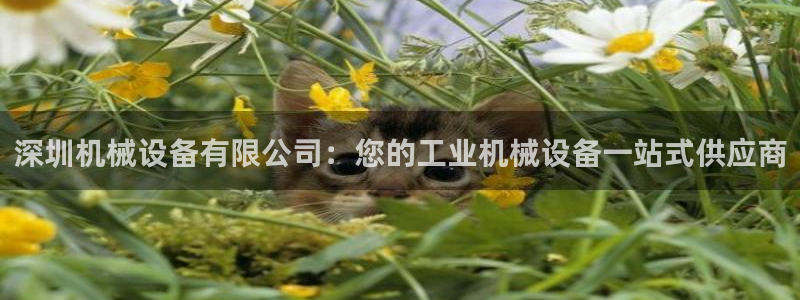 九游会平台最强