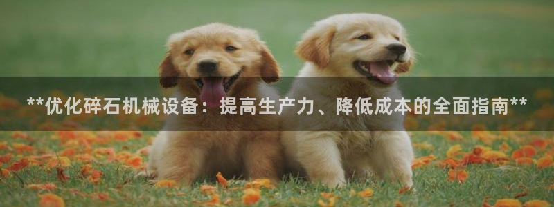 ag九游会登录j9入口