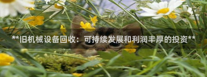 九游会游戏平台有哪些