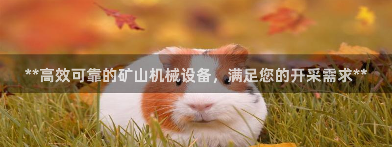 九游会ag真人官网在哪