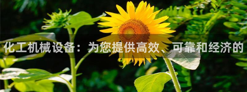 九游j9国际站