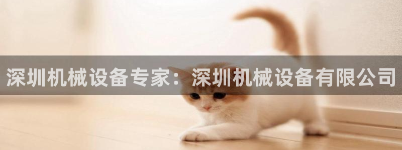 九游会国际厅有限责任公司