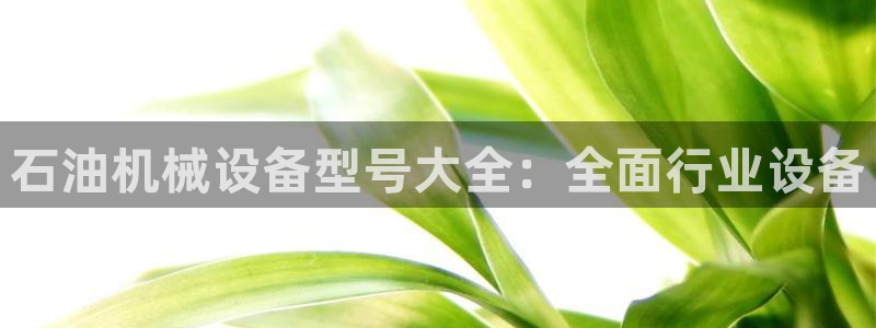 九游会是什么组织