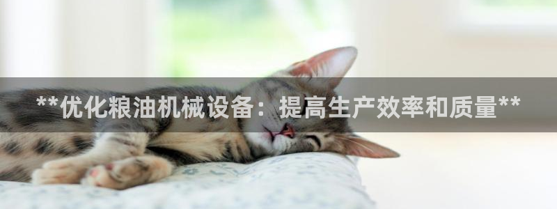 九游会平台最强