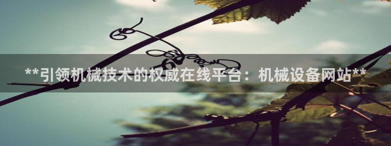 j9九游会老哥俱乐部介绍