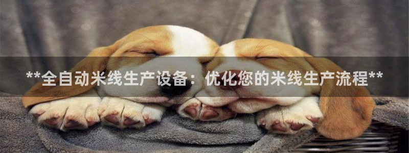 九游会官方网站登录