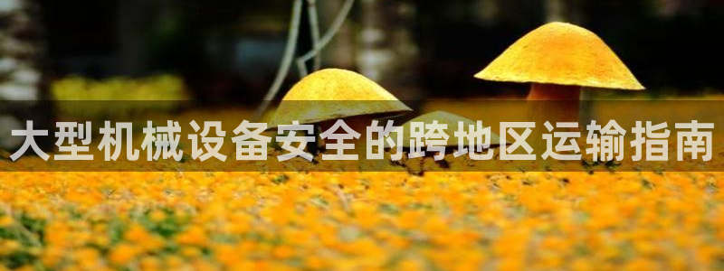 九游会倒闭