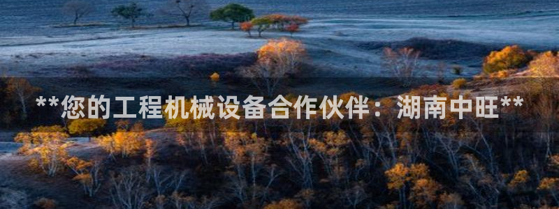 j9九游会登录入口首页