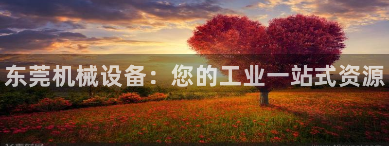 九游会是干嘛的