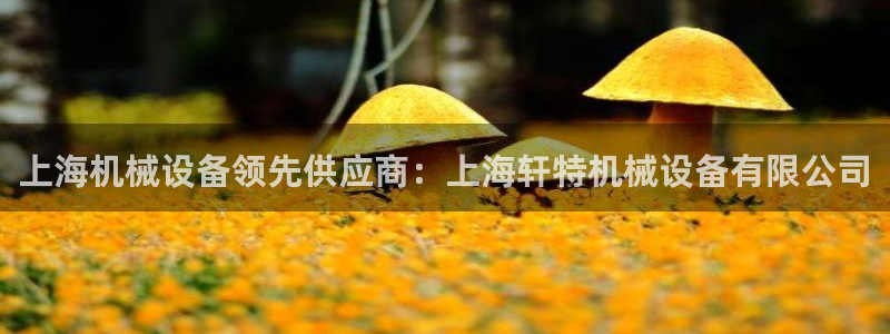 九游官网j9活动介绍