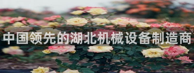 九游会官方网站登录