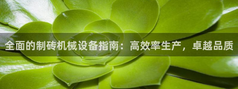 九游会集团登录