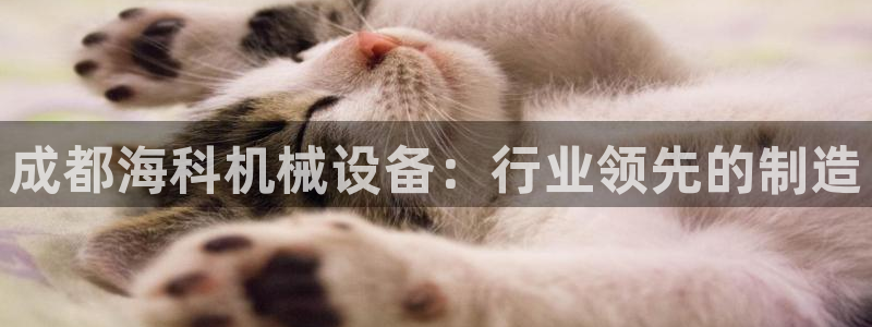 九游会网址多少
