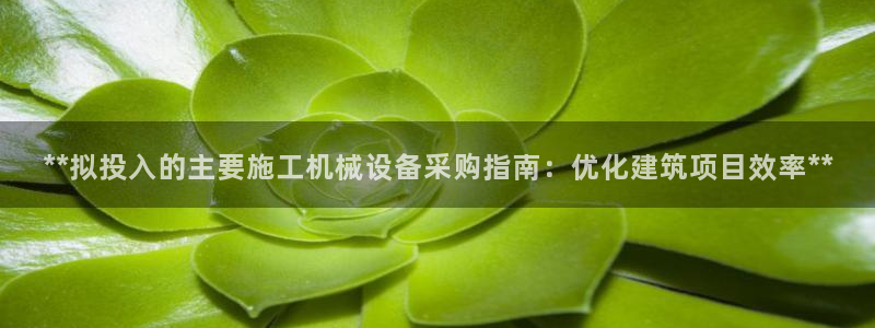 九游会老哥论坛