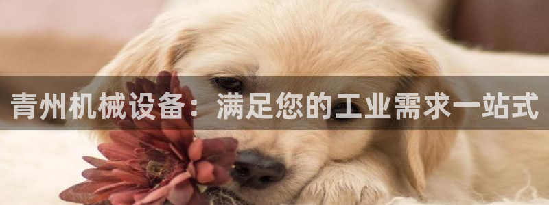 九游会老哥俱乐部