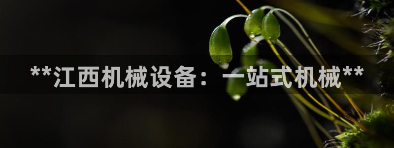 九游会官方在线