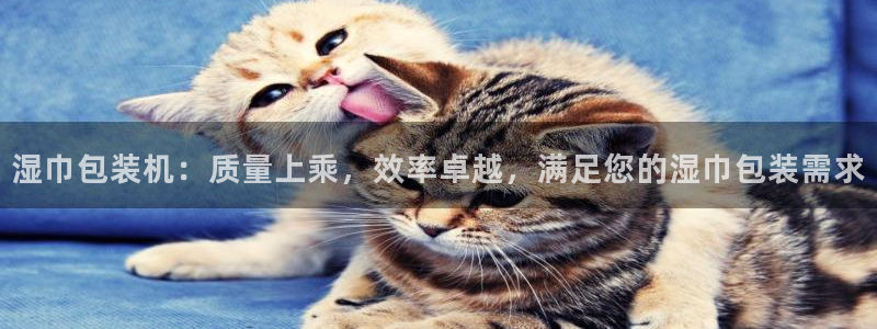 j9vminternals.ensureerror