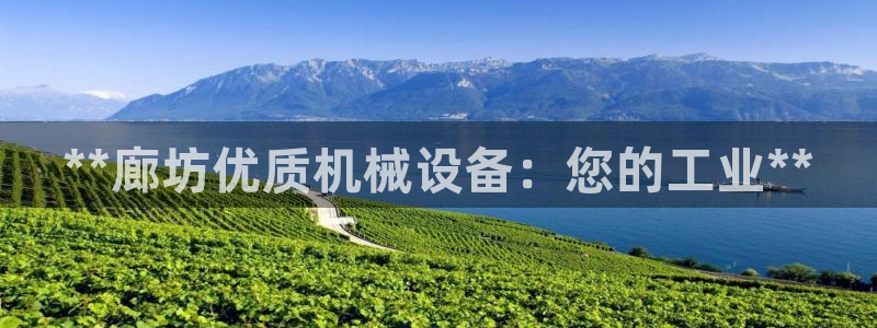 九游会官网登录网址