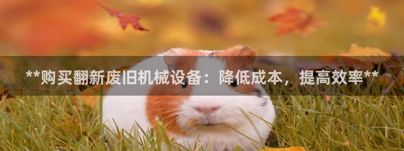 九游会j9官网