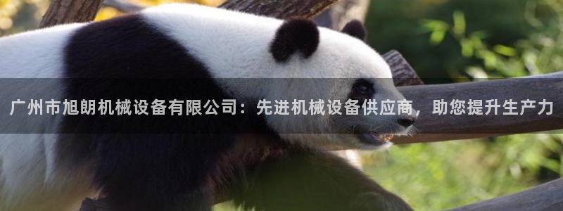 九游会 app