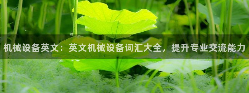 J9九游会官网app