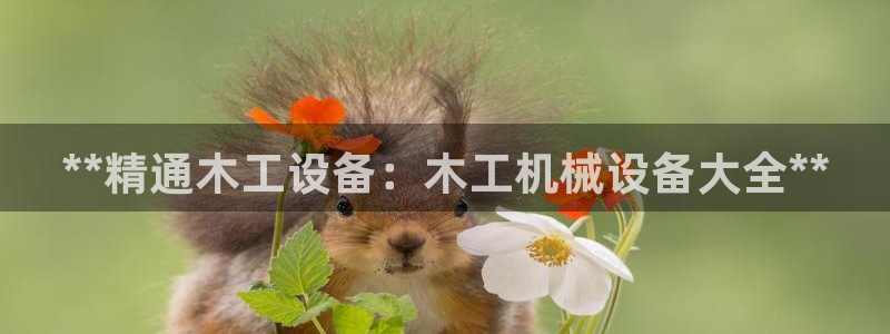 九游会网址登陆