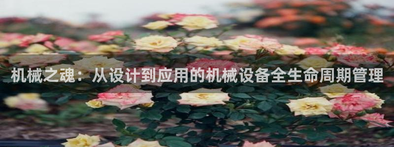 9游会官网首页