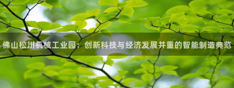 九游j9打不开