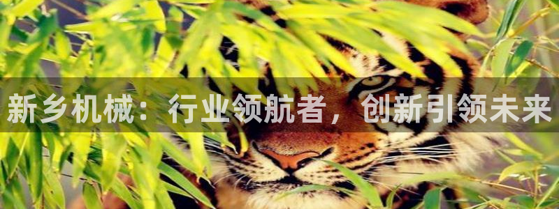 9游会旗舰：新乡机械