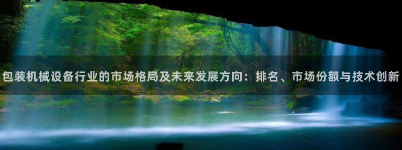 九游会ag真人官网