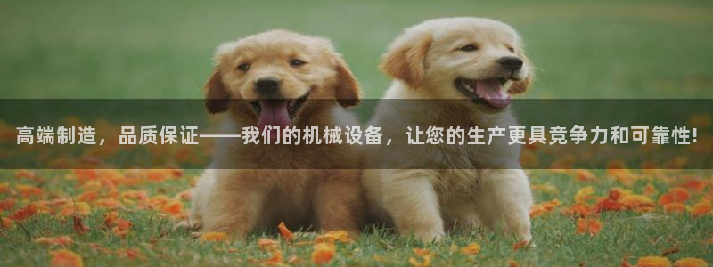j9九游会真人游戏第一品牌