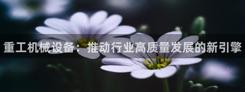 九游会官方网站登陆