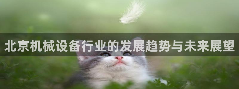 九游会官网首页进入吗