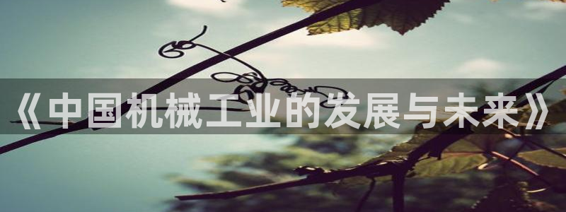 九游会是一个什么网站啊