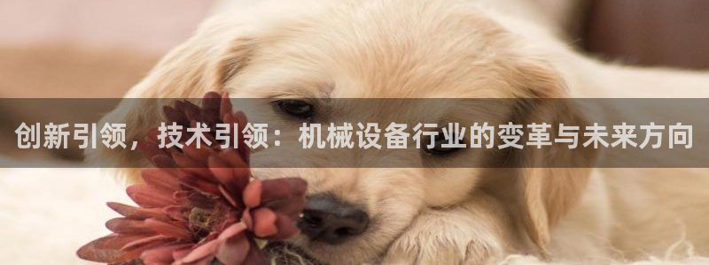 ag九游最新