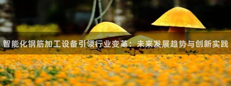 九游会吧