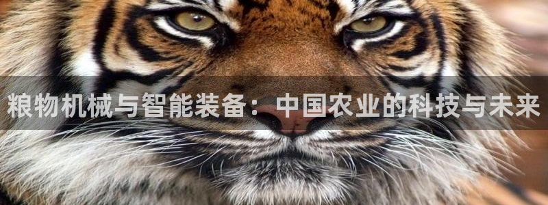 J9九游会登陆