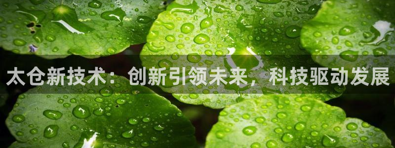 九游会老哥俱乐部官网首页论坛
