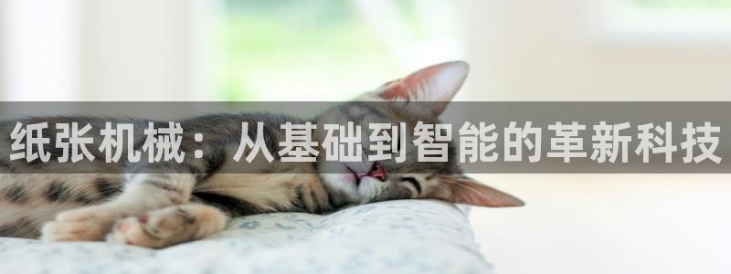 九游会平台j9