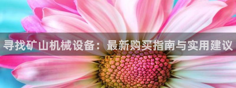 J9九游会几千也会黑吗