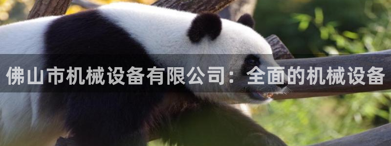 九游会网址最新