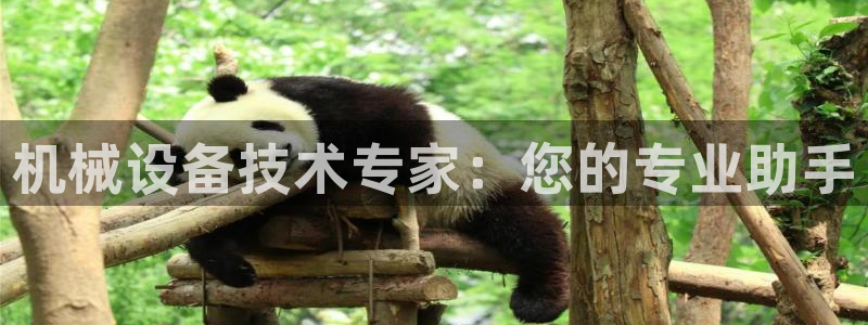 9游会老哥俱乐部